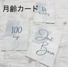 Item thumbnail for item 24a48e2e-b434-4c88-baea-016fd93cebbf