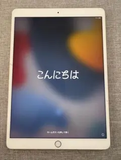 iPad Pro 10.5インチ★64GB Wi-Fi