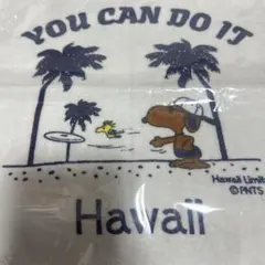 2025年最新】ハワイスヌーピータオルの人気アイテム - メルカリ