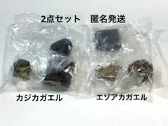 ネイチャーテクニカラー　日本のカエル　2点セット　【即購入可能】