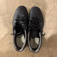 asics DS LIGHT 26センチのサムネイル