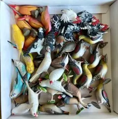 チョコエッグ 海洋堂 鳥類 37体 묶음 판매