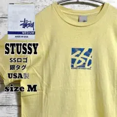 古着 STUSSY ステューシー 半袖 SSロゴ T 銀タグ 00年代USA製M
