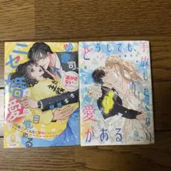 どうしても、手放したくない愛がある エリート御曹司の終わらない独占欲
