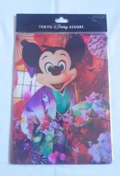 ディズニーリゾート イマジニングザマジック ポストカード