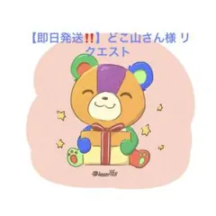 【即日発送‼️】どこ山さん様 リクエスト 3点