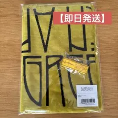 Mrs. GREEN APPLE バベルの塔 タオル ラバーバンド セット