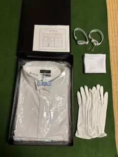 お父さん 結婚式モーニング衣装 婚礼5点セット サイズ:4L 大きいサイズ