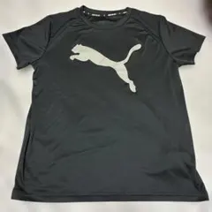 PUMAプーマ半袖Tシャツ 160cm黒