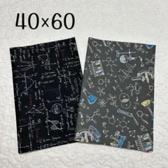 ランチョンマット 40×60 2枚セット　数学　化学実験　男の子用　男児　高学年
