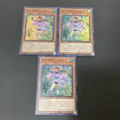 【匿名発送】遊戯王　影六武衆-ハツメ　スーパー　3枚