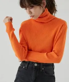 アンティローザホリデー