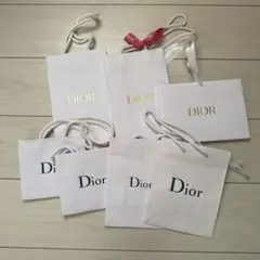 DIOR ショッパー6枚+ギフト用紙ケース1枚