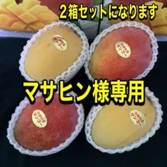 マサヒン様/沖縄産★マンゴー(4個)2箱　クール発送 マサヒン様/沖縄産☆マンゴー(4個)2箱 クール発送 - メルカリ