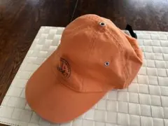 Item thumbnail for item c90f164c-0f0d-436b-8a58-64eddca06496