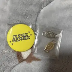 SUPERBEAVERガチャガチャ ピンバッチと缶バッチ