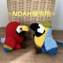 NOAH様専用✳︎