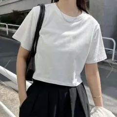 ■andmeアンドミー■新品タグ付き■コットン ショート丈 半袖 Tシャツのサムネイル
