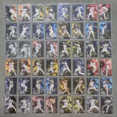 プロ野球チップス2025 スターカード サイン 48種 コンプ