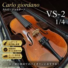 カルロジョルダーノ VS2 4/4バイオリン ケース 肩当て ミュート付き