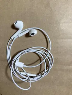 Apple 純正 イヤホン アップル イヤフォン ライトニング 正規品