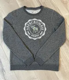 Abercrombie KIDS スウェット トレーナー ハワイ 限定