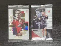 バレーボール男子日本代表　ツインウエハース 2026　西田有志