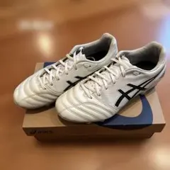 asicsサッカースパイク DS LIGHT ADVANCE WIDE 25cm
