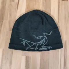 2025年最新】バードヘッドトークの人気アイテム - メルカリ