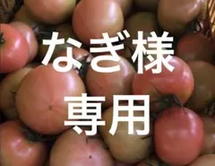 なぎ様　専用のサムネイル