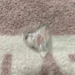 ポチャッコ　もじになっちゃった　カプセルトイ　新品未使用