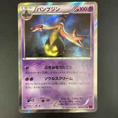 パンプジン R XY1 コレクションY 028/060