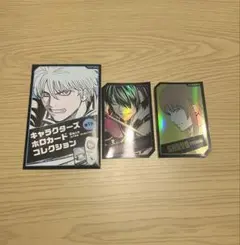 キャラクターズホロカードコレクション 銀魂