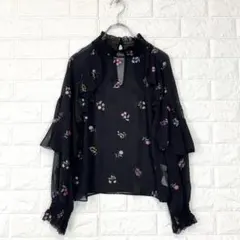 ✨リリーブラウン【F】黒 花柄刺繍 スタンドカラー シアーブラウス フリル