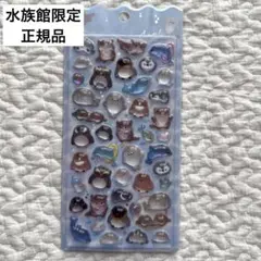 希少　水族館限定　正規品　ボンボンドロップシール　海獣　ペンギン
