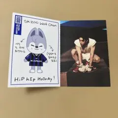 Stray Kids KARMA skzoo プロフィールカード ウルフチャン