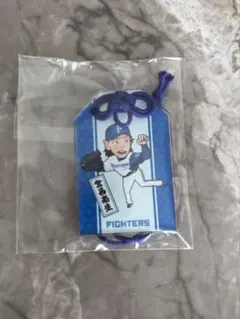 北海道日本ハムファイターズ 宮西尚生投手 お守り型キーホルダー
