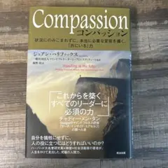 Compassion 状況にのみこまれずに、本当に必要な変容を導く、「共にいる…