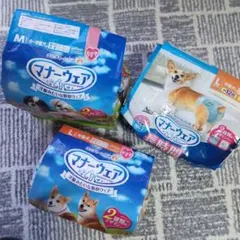 Item thumbnail for item 254b5278-06f9-498e-ac4f-1520df79a3fd