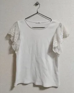 Honeys　GLACIERレース半袖リブカットソー