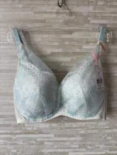 D70」トリンプ 夢みるブラDeepV クール ウィスパーオブ海の波 ブラジャー