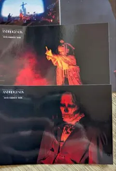 DIR EN GREY 京 プロマイド ANDROGYNOS