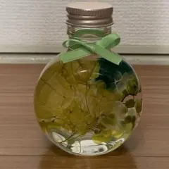 ハーバリウム　緑