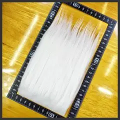 Item thumbnail for item bb7604d8-5d93-4c56-8485-a339a5a83997