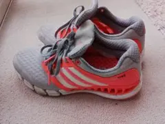 Item thumbnail for item 2db72f1c-0dae-4202-b2cf-e934ad37e14c