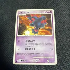 ムウマ エントリーパック 006/013