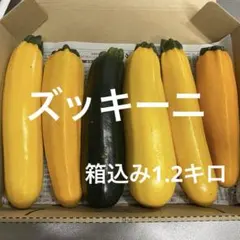 夏野菜 ズッキーニ 箱込み1.2kgのサムネイル