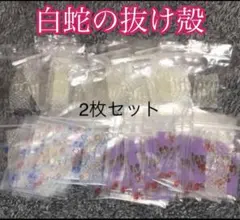 白蛇の抜け殻☆巳年生まれが育てるヘビのお守り☆開運☆金運☆運気上昇♦2枚