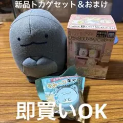 新品トカゲセット