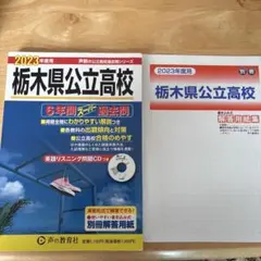 Item thumbnail for item 6cdb16ed-489a-490a-8a5f-96c97bfb9985